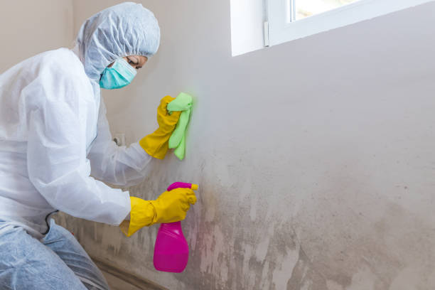 Best Residential Mold Inspection & Testing  in Rk Forest Village, PA